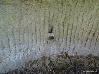 Cava Scordia